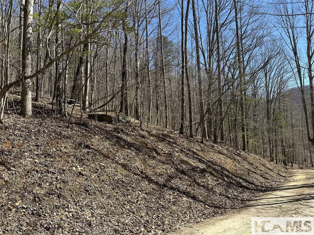 Lot 7 Eagle Point Franklin, NC 28734