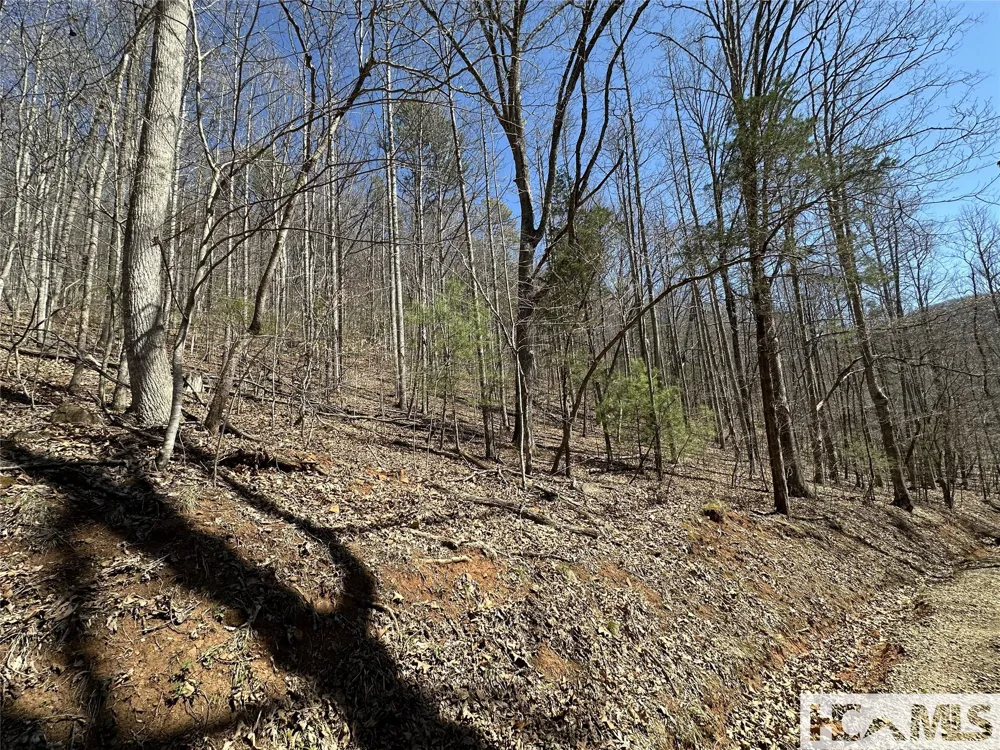 Lot 7 Eagle Point Franklin, NC 28734