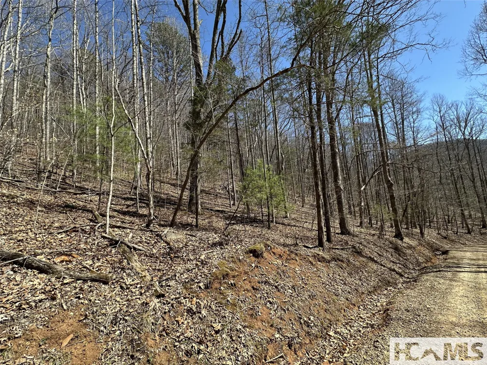 Lot 7 Eagle Point Franklin, NC 28734