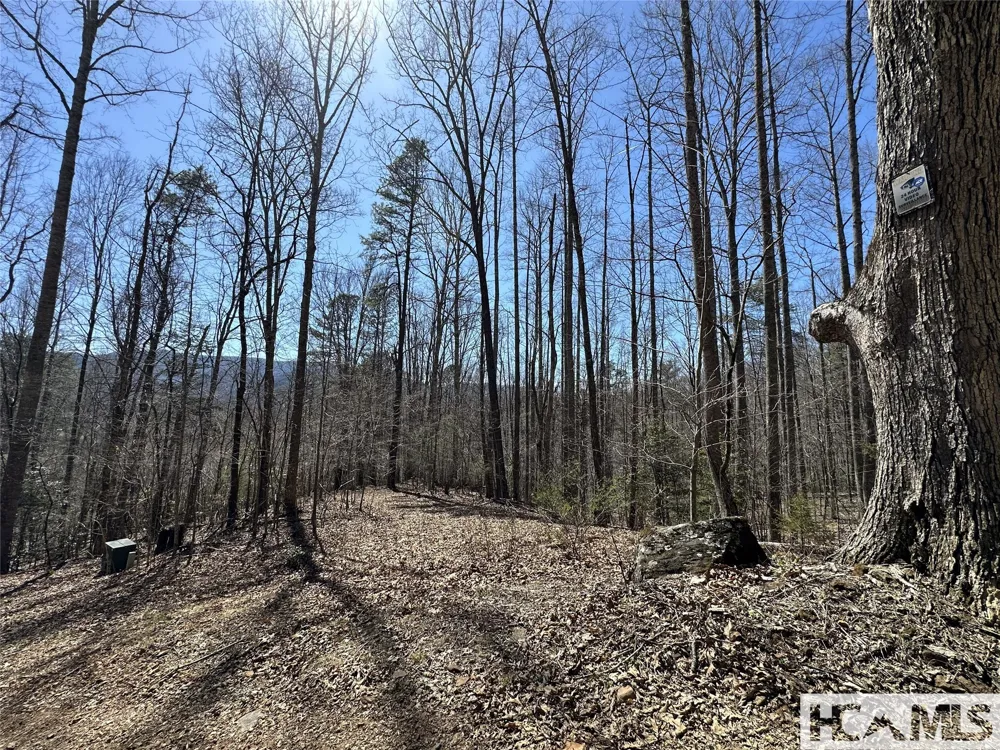 Lot 7 Eagle Point Franklin, NC 28734