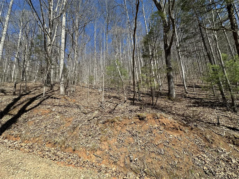 Lot 7 Eagle Point Franklin, NC 28734