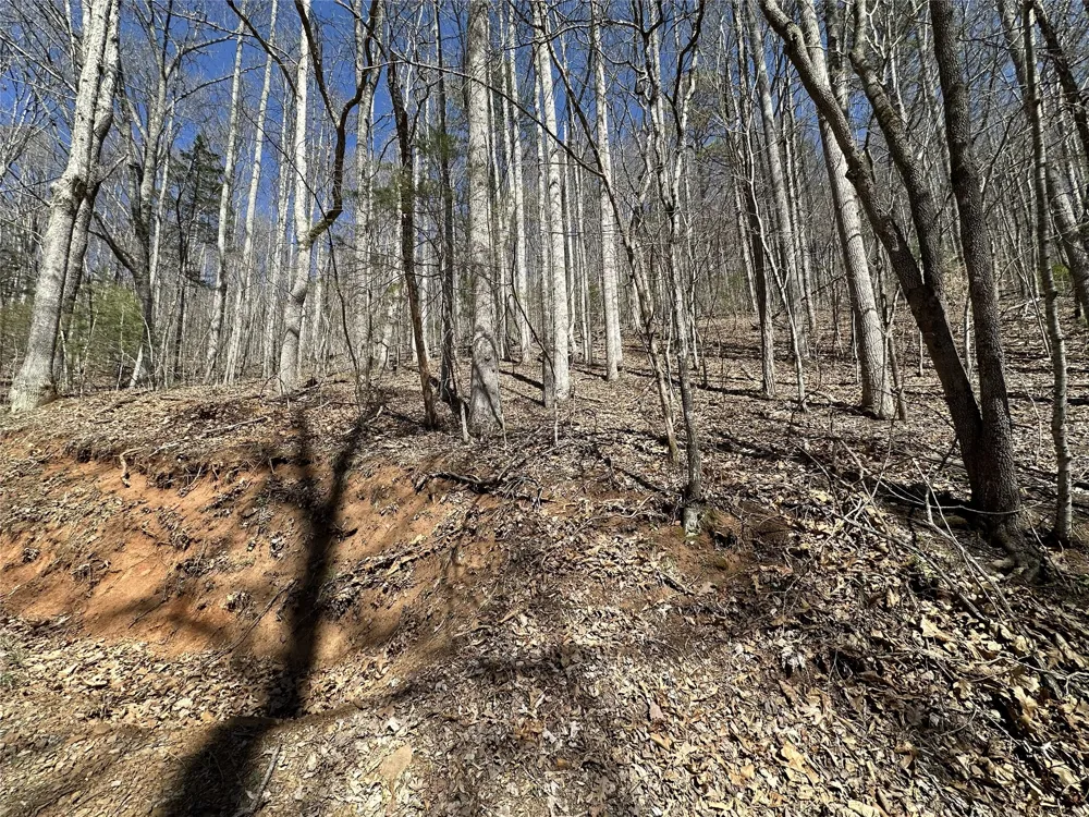 Lot 7 Eagle Point Franklin, NC 28734