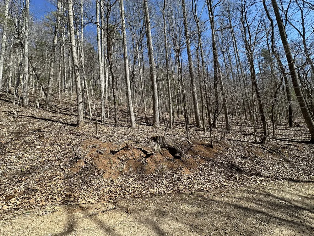 Lot 7 Eagle Point Franklin, NC 28734