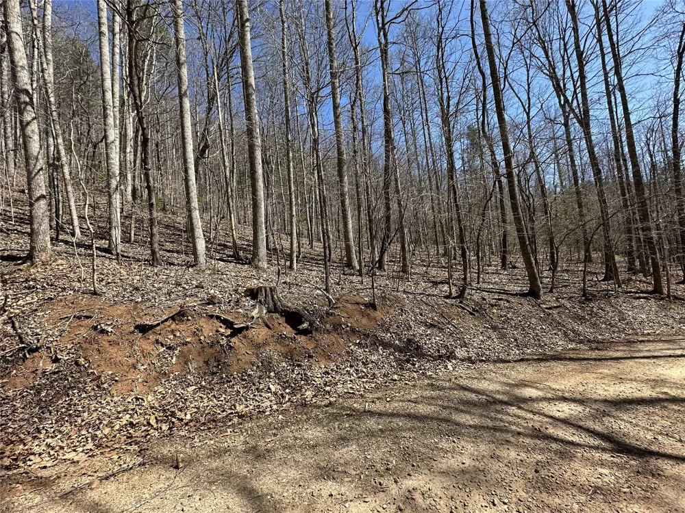 Lot 7 Eagle Point Franklin, NC 28734