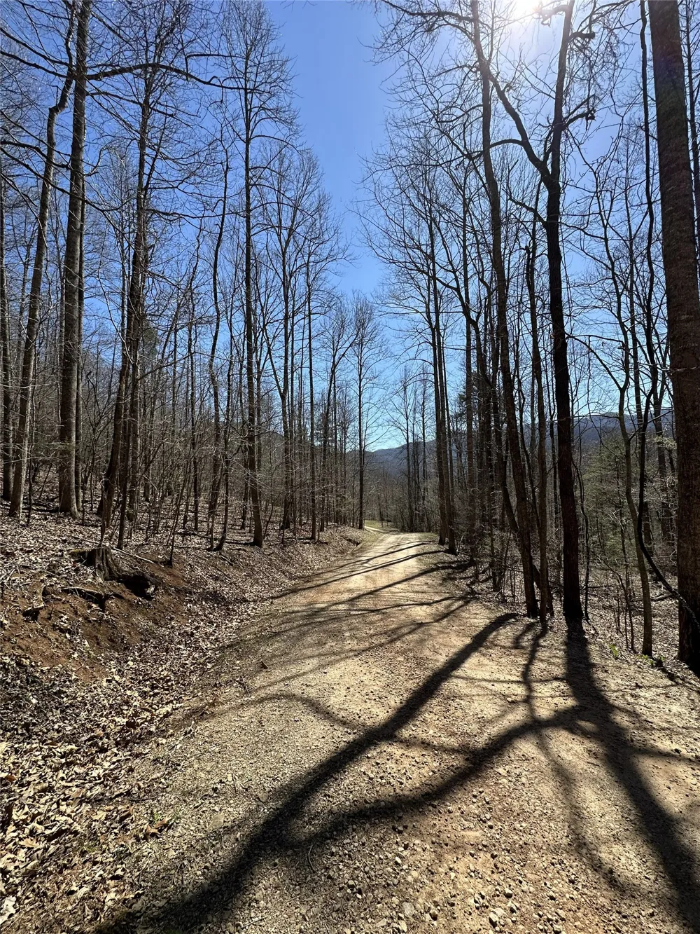 Lot 7 Eagle Point Franklin, NC 28734