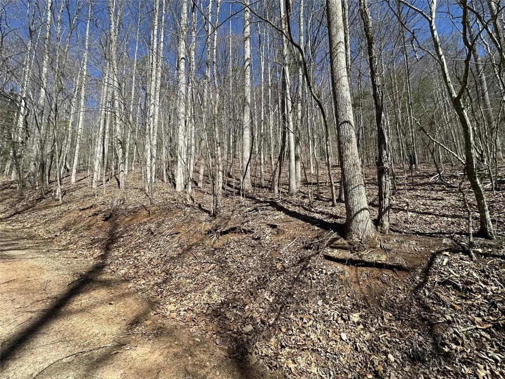 Lot 7 Eagle Point Franklin, NC 28734