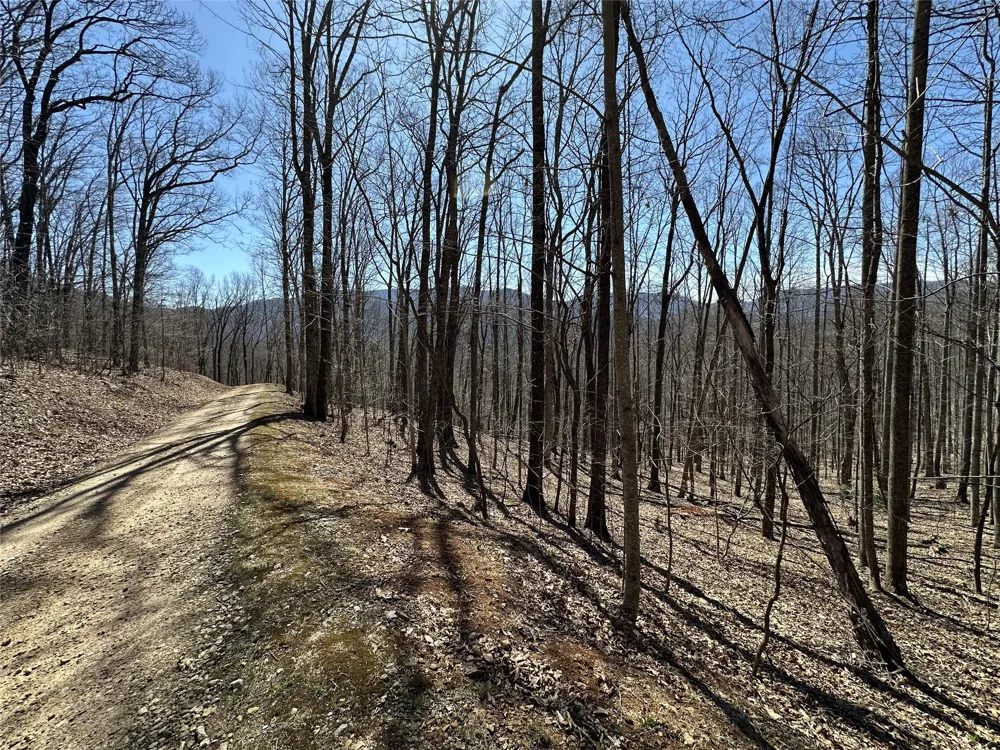 Lot 7 Eagle Point Franklin, NC 28734