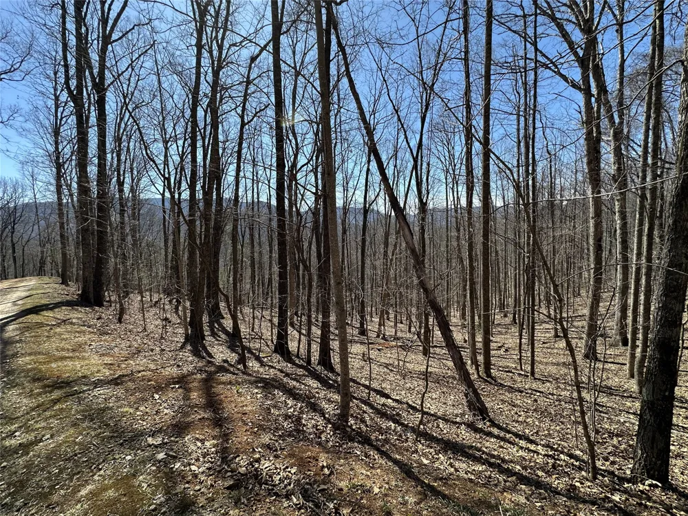 Lot 7 Eagle Point Franklin, NC 28734