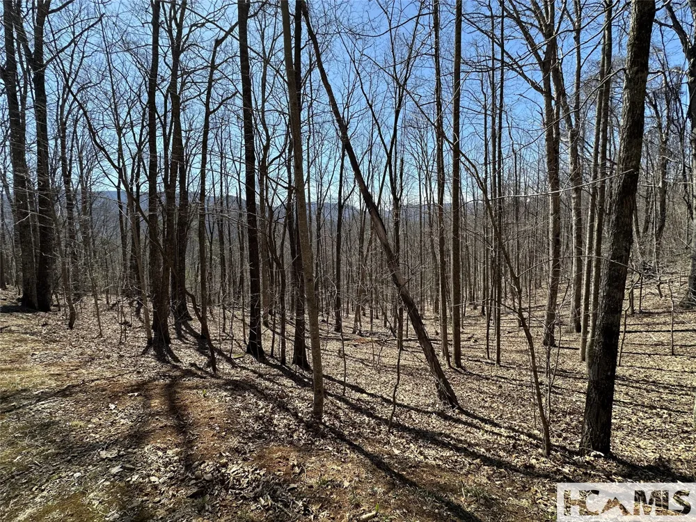 Lot 7 Eagle Point Franklin, NC 28734
