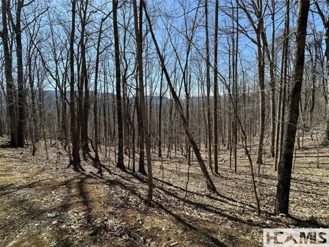 Lot 7 Eagle Point