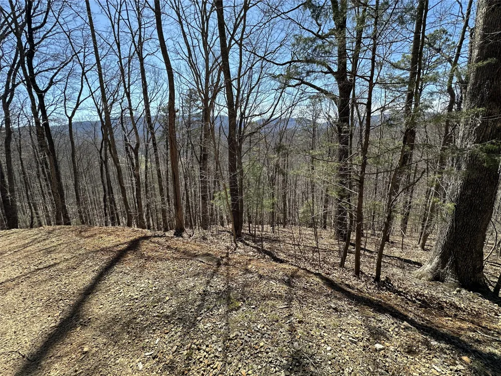 Lot 7 Eagle Point Franklin, NC 28734