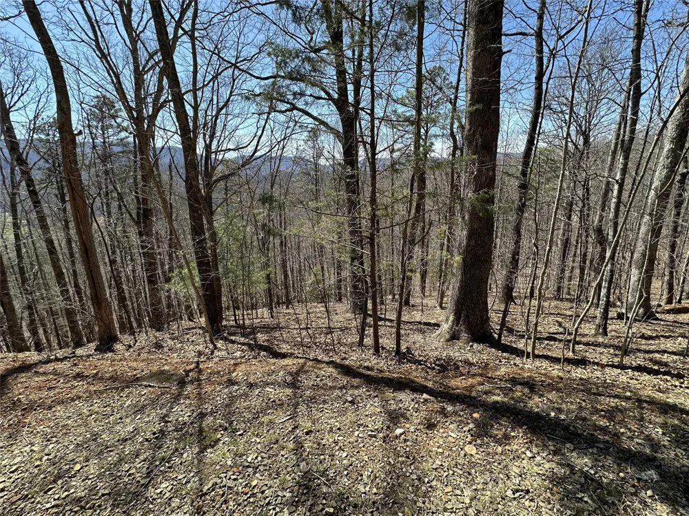 Lot 7 Eagle Point Franklin, NC 28734