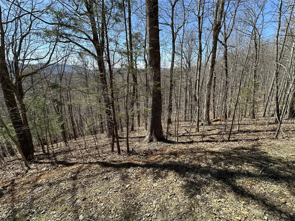 Lot 7 Eagle Point Franklin, NC 28734