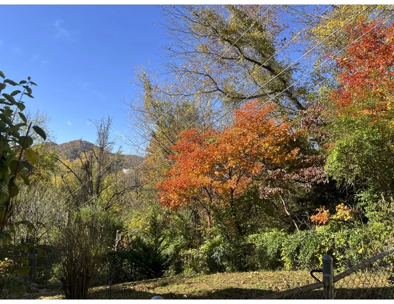 29 Regal Avenue Sylva, NC 28779