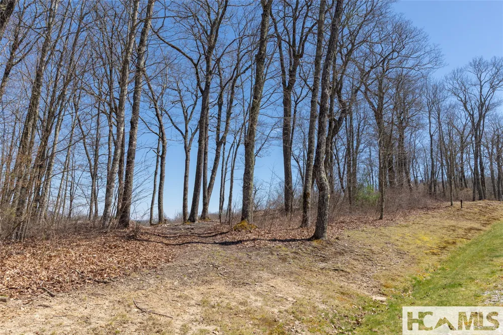 Lot 62 New Settler's Way Glenville, NC 28736