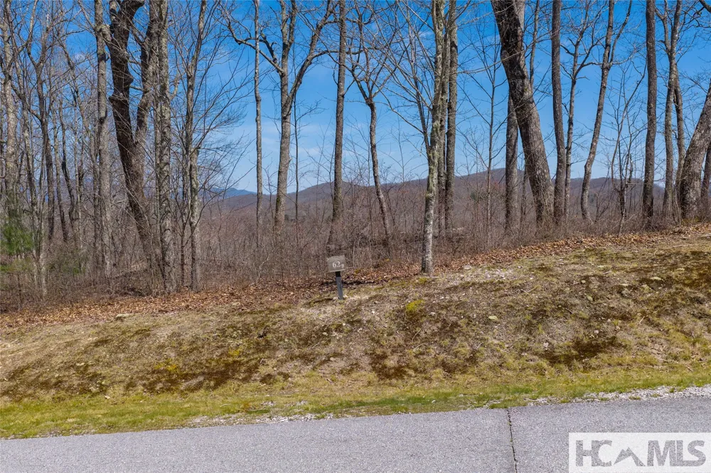 Lot 62 New Settler's Way Glenville, NC 28736