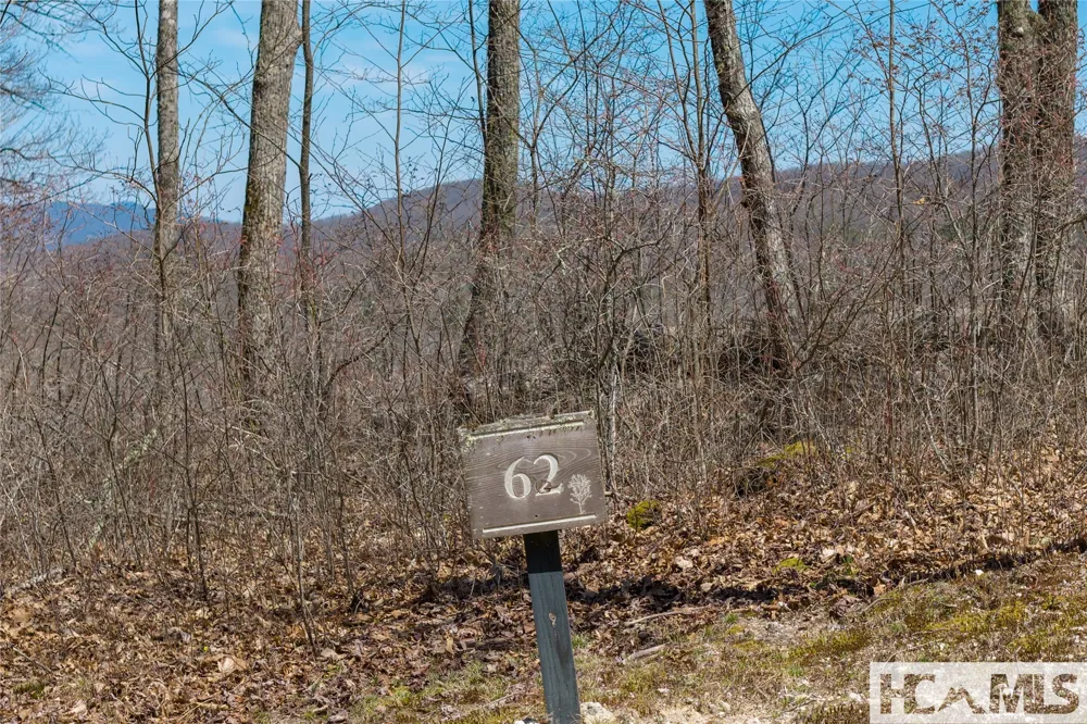 Lot 62 New Settler's Way Glenville, NC 28736