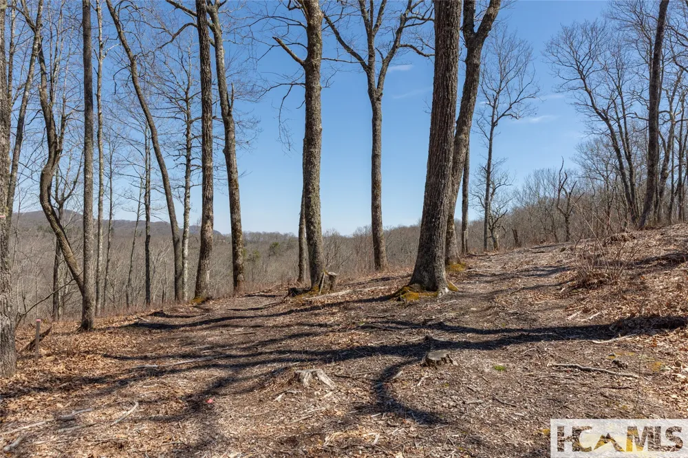 Lot 62 New Settler's Way Glenville, NC 28736