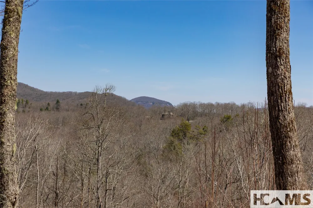 Lot 62 New Settler's Way Glenville, NC 28736