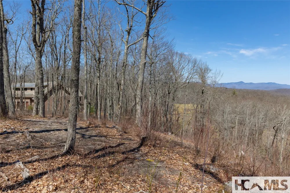 Lot 62 New Settler's Way Glenville, NC 28736