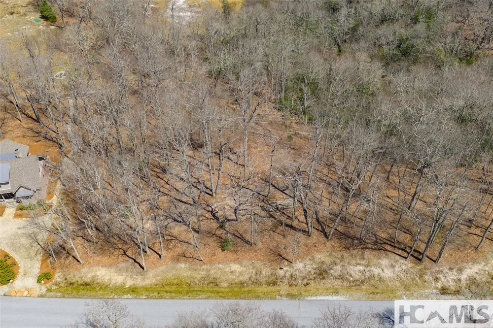 Lot 62 New Settler's Way Glenville, NC 28736