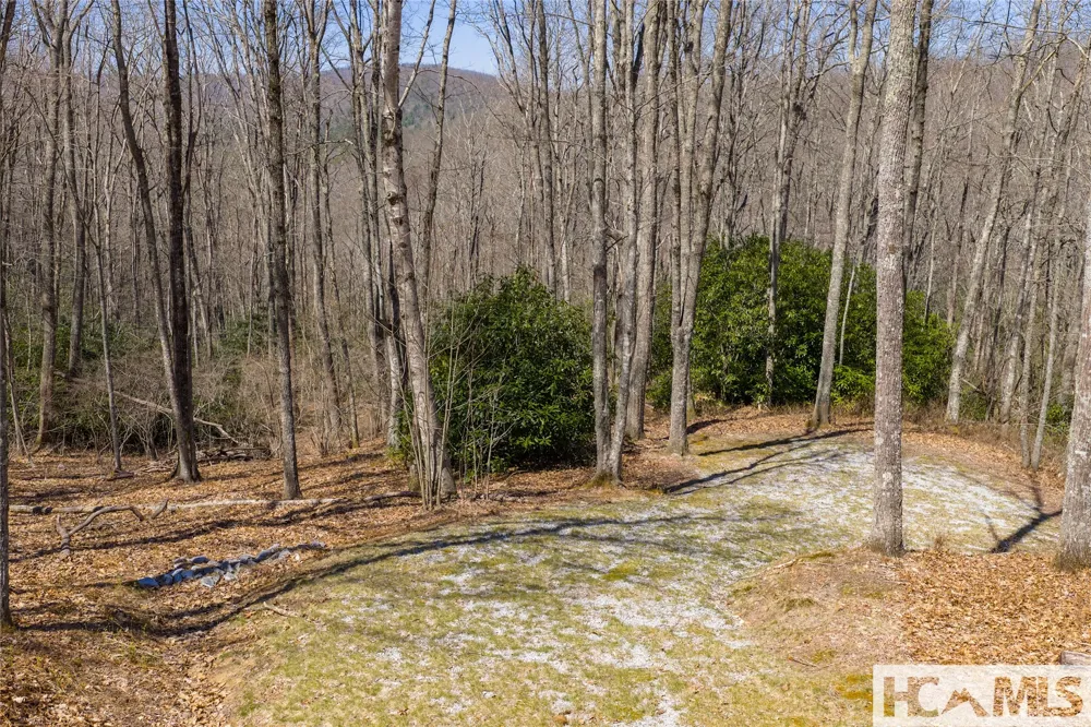 Lot 34 New Settler's Way Glenville, NC 28736