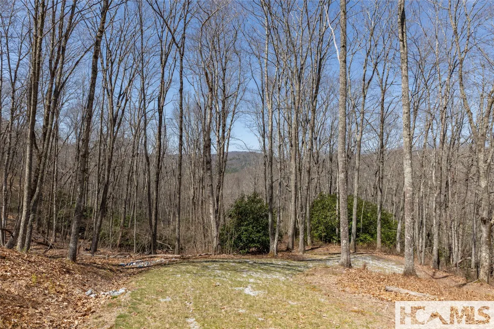 Lot 34 New Settler's Way Glenville, NC 28736