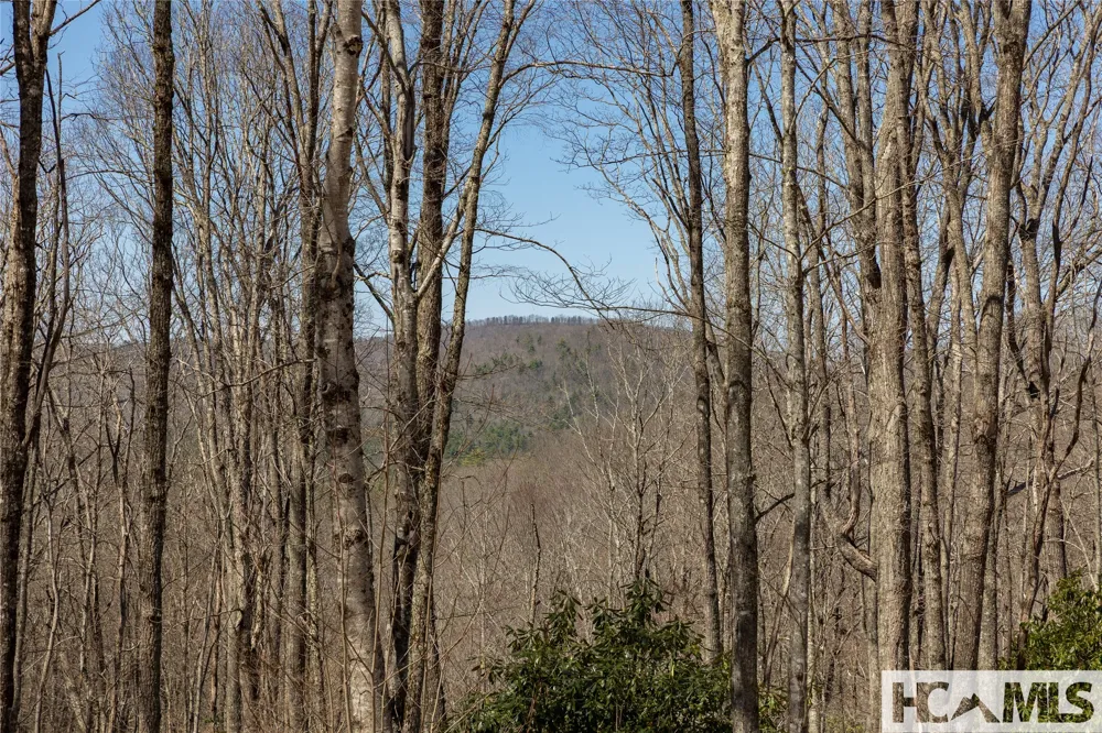 Lot 34 New Settler's Way Glenville, NC 28736