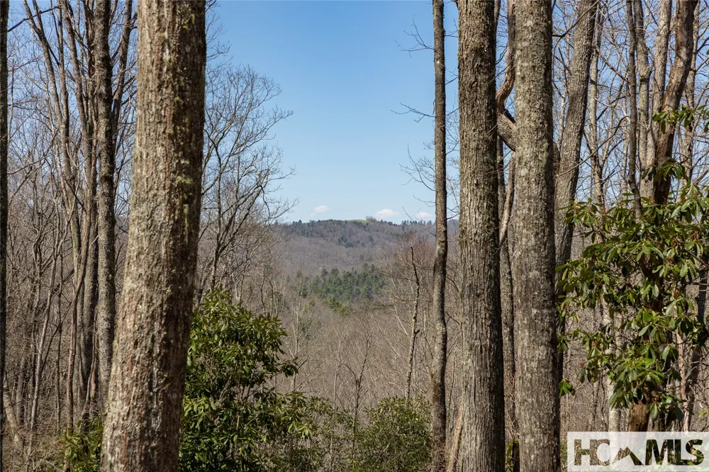 Lot 34 New Settler's Way Glenville, NC 28736