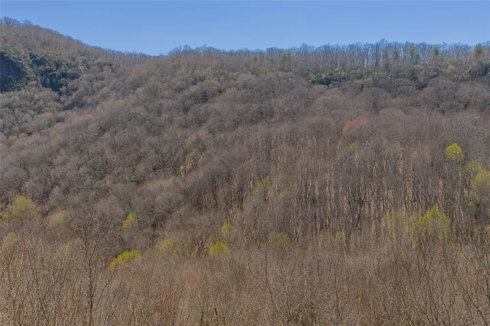 C34 Roaming Road Glenville, NC 28736