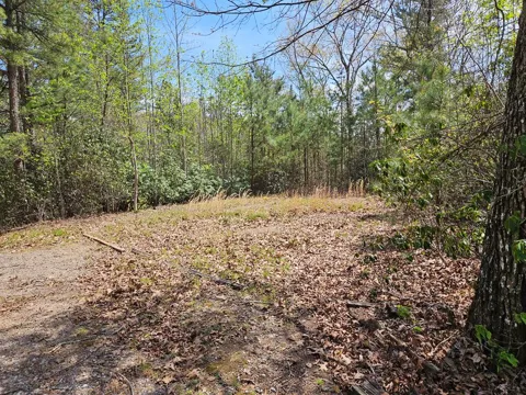 Gem Lakes Estates Road