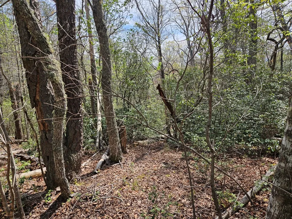 Gem Lakes Estates Road Franklin, NC 28734