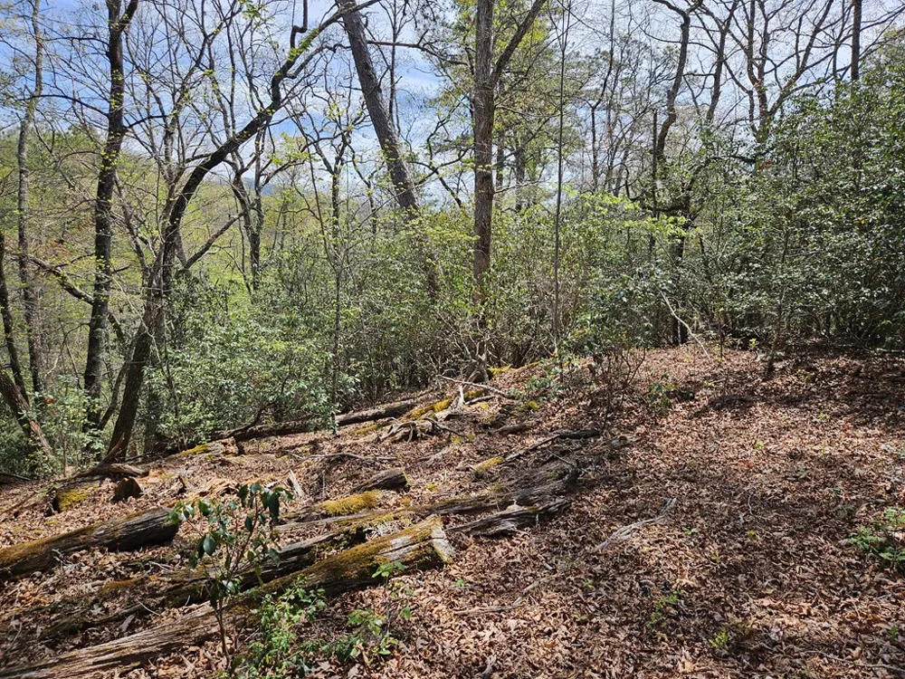 Gem Lakes Estates Road Franklin, NC 28734