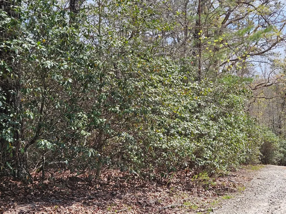 Gem Lakes Estates Road Franklin, NC 28734