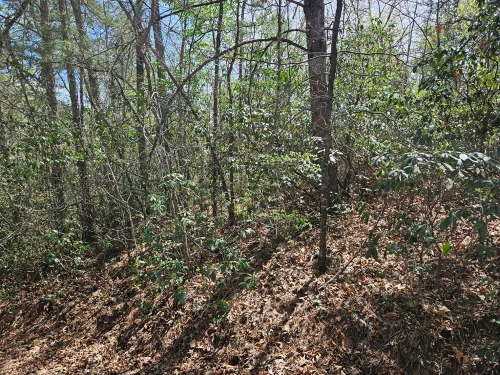 Gem Lakes Estates Road Franklin, NC 28734