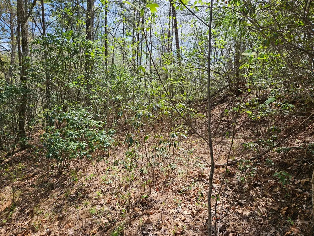 Gem Lakes Estates Road Franklin, NC 28734