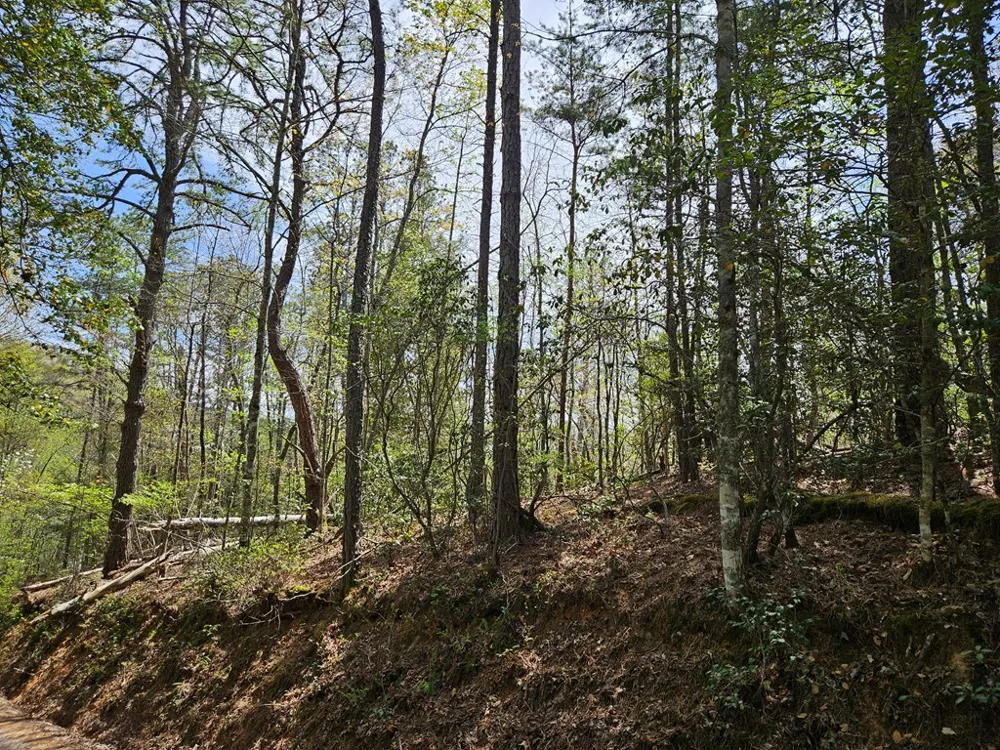 Gem Lakes Estates Road Franklin, NC 28734