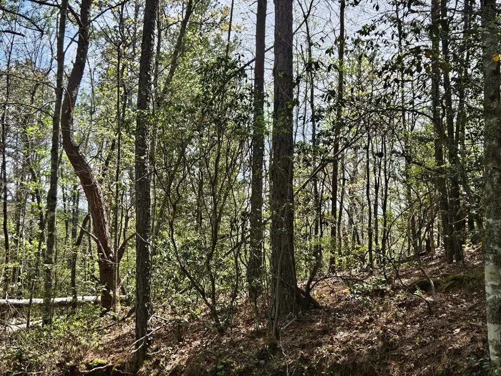 Gem Lakes Estates Road Franklin, NC 28734