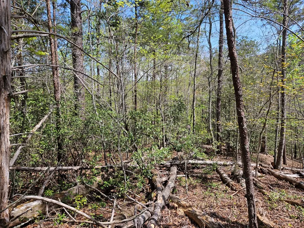 Gem Lakes Estates Road Franklin, NC 28734