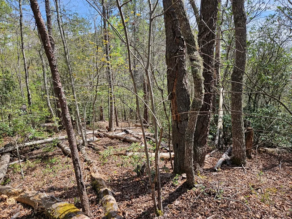 Gem Lakes Estates Road Franklin, NC 28734