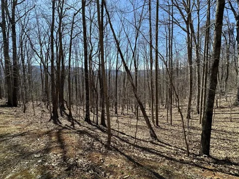 Eagle Pt
