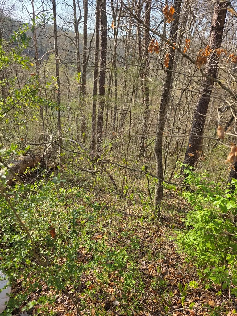 Robinhood Lane Franklin, NC 28734