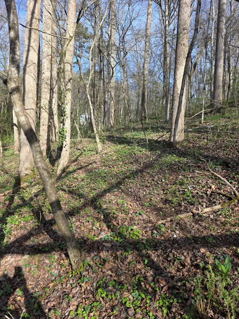 Robinhood Lane Franklin, NC 28734
