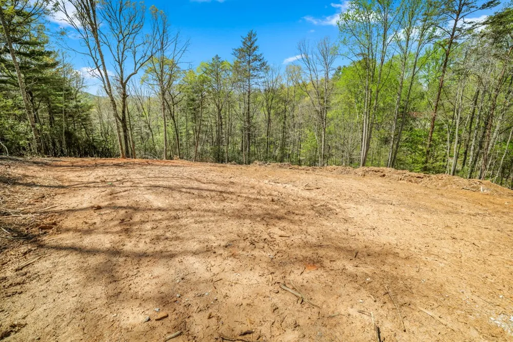 Dowdle Mountain Road Franklin, NC 28734