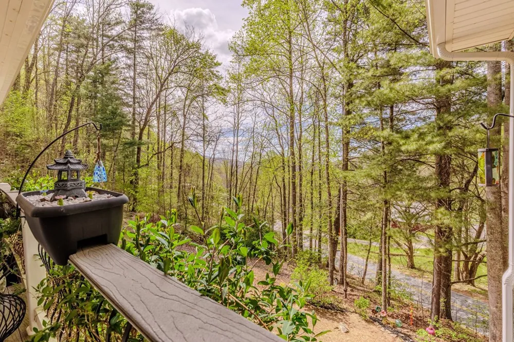 Deep Gap Rd. Bryson City, NC 28713