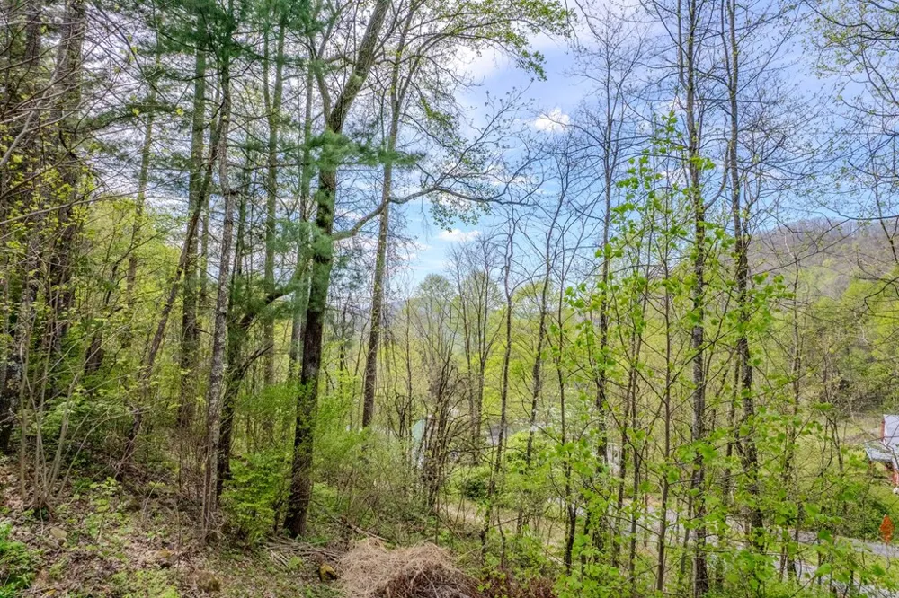 Deep Gap Rd. Bryson City, NC 28713