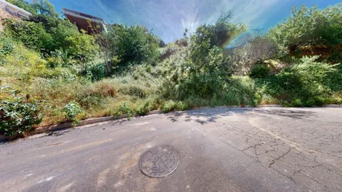 3810 Knobhill Drive