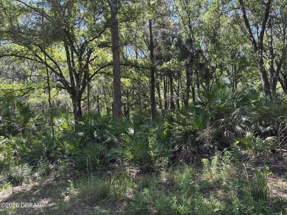 County Rd 90 E Bunnell, FL 32110