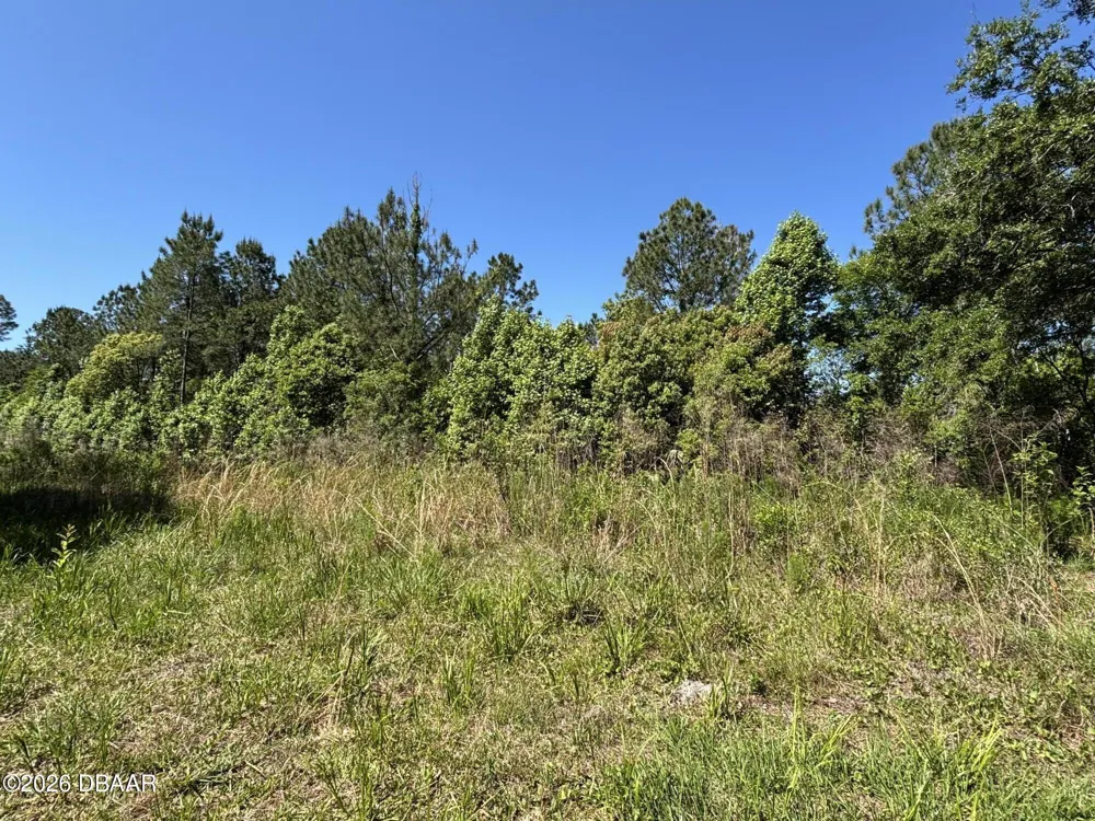 County Rd 90 E Bunnell, FL 32110