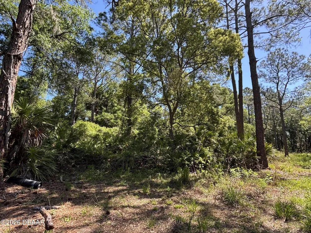 County Rd 90 E Bunnell, FL 32110